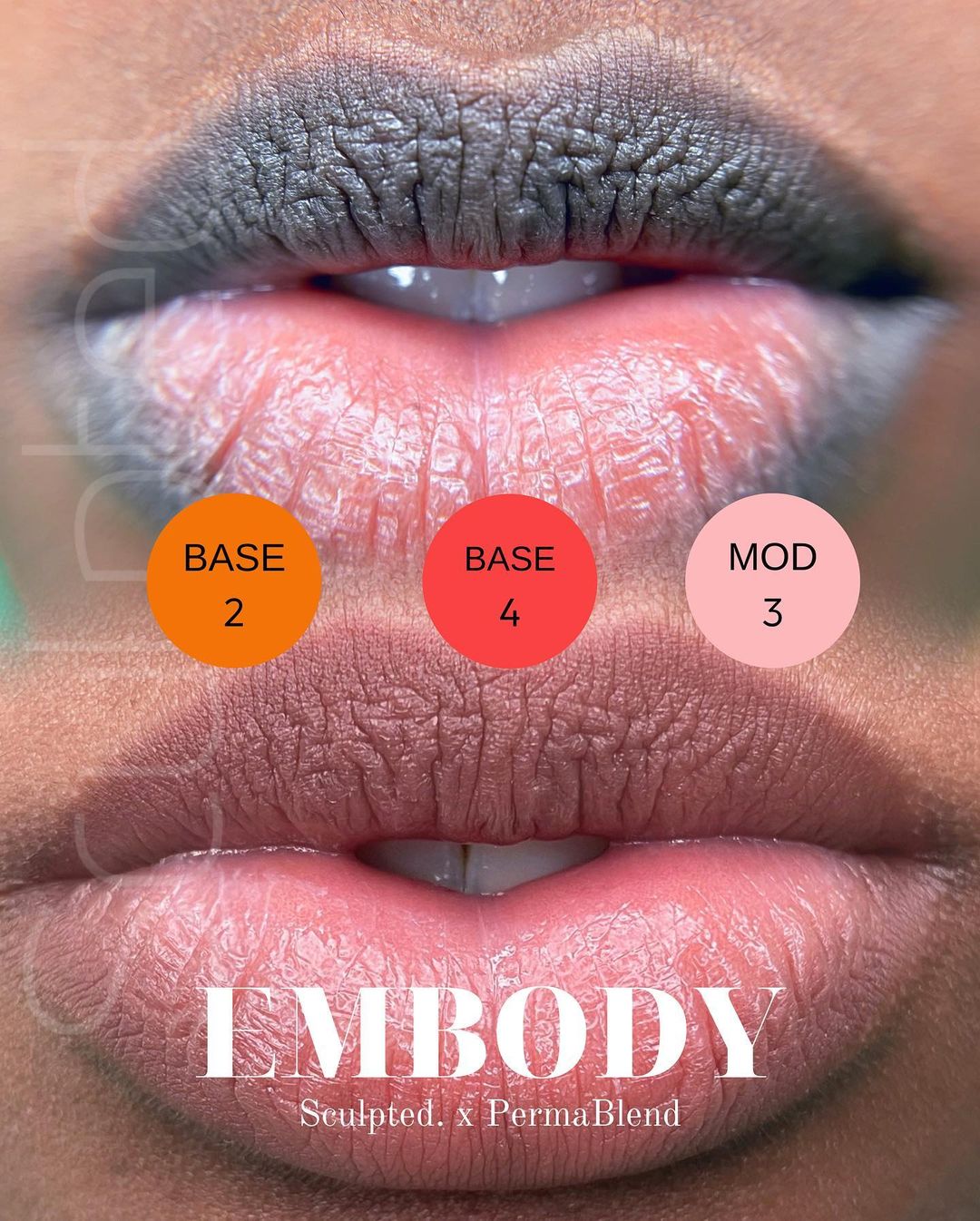 Perma Blend Embody by Carla Riccaiardone 8 x 15 ml