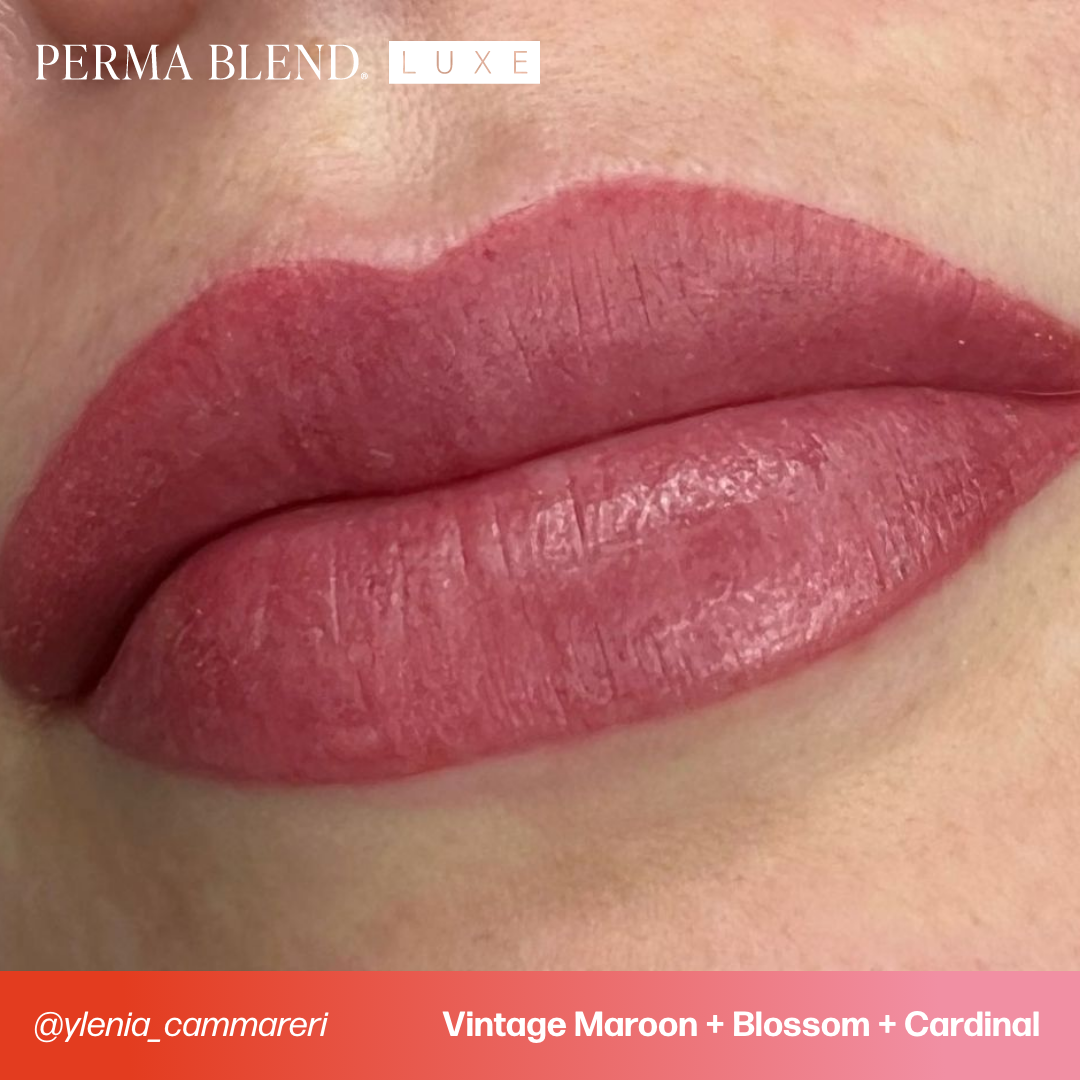 Perma Blend Lips Vintage Maroon 15 ml